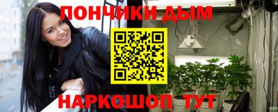 хмурый Сланцы